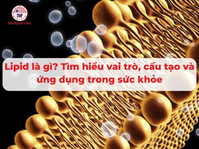 Lipid là gì? Tìm hiểu vai trò, cấu tạo và ứng dụng trong sức khỏe