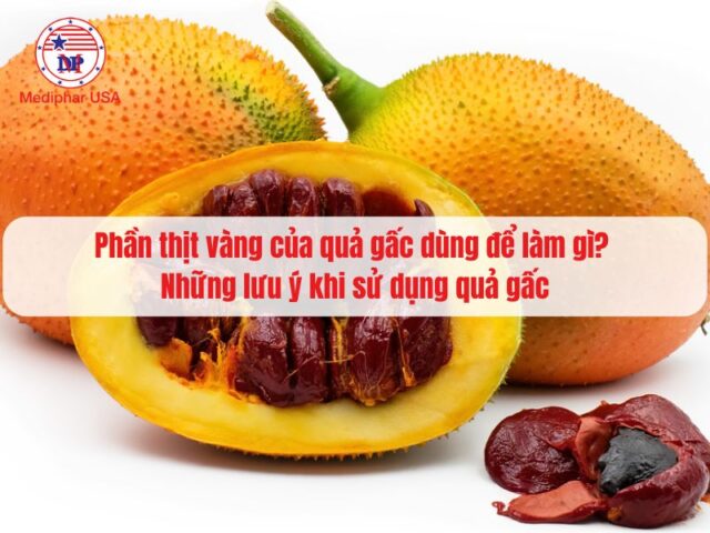 Phần thịt vàng của quả gấc dùng để làm gì? Những lưu ý khi sử dụng quả gấc