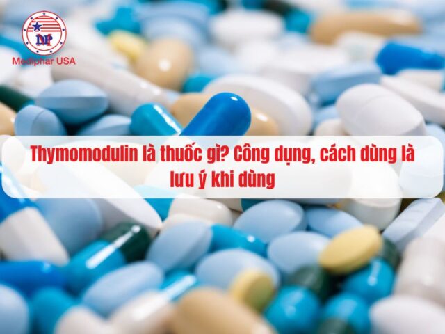 Thymomodulin là thuốc gì? Công dụng, cách dùng là lưu ý khi dùng