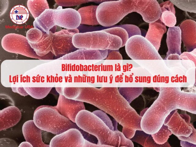 Bifidobacterium là gì