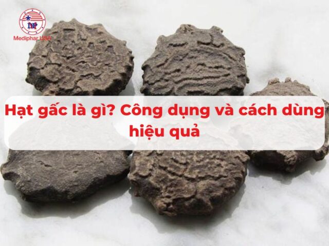 Hạt gấc là gì? Công dụng và cách dùng hạt gấc hiệu quả