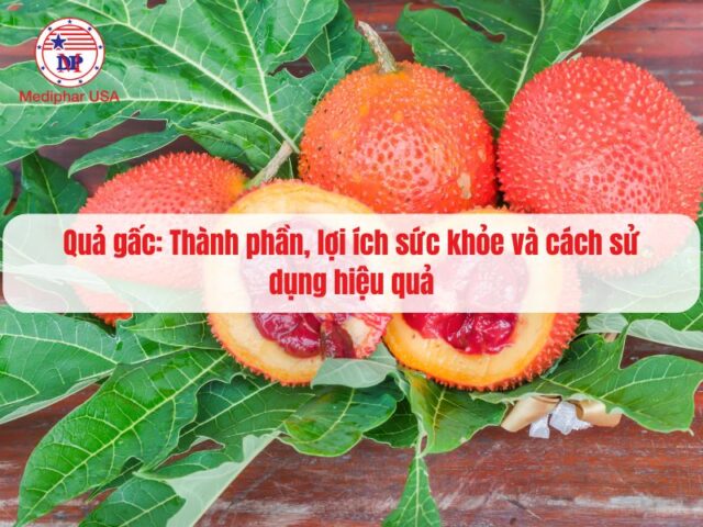 Quả gấc: Thành phần, lợi ích sức khỏe và cách sử dụng hiệu quả