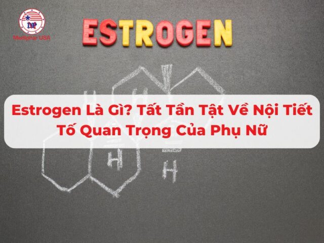 estrogen là gì