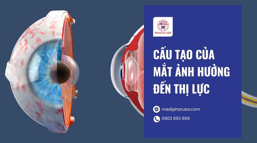 Cau Tao Cua Mat