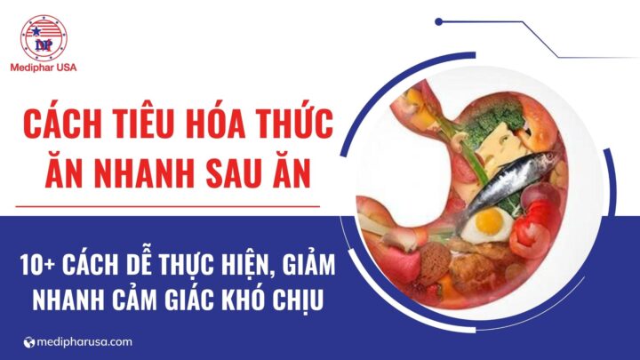 cách tiêu hóa nhanh sau khi ăn