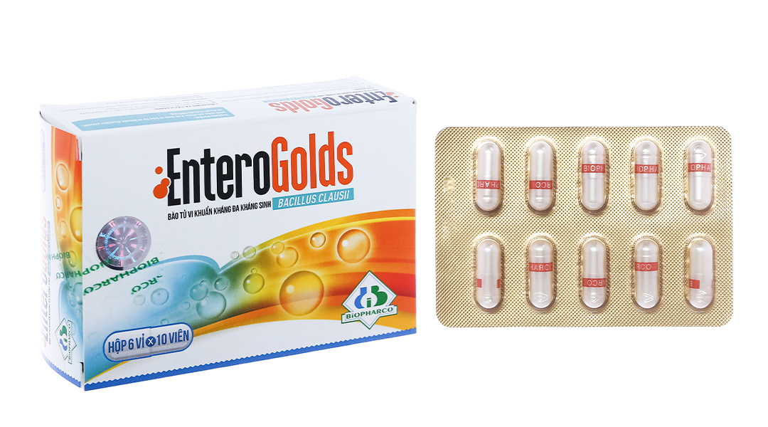 10 men tiêu hóa dạng viên được tin dùng hiện nay Men tiêu hóa dạng viên EnteroGolds