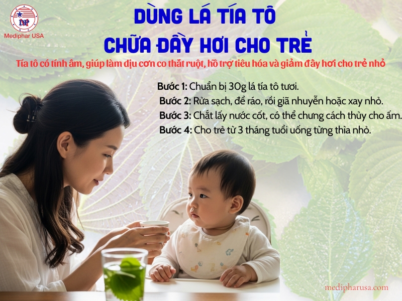10+ Mẹo dân gian chữa đầy hơi cho trẻ sơ sinh hiệu quả tại nhà Dùng lá tía tô chữa đầy hơi cho trẻ sơ sinh