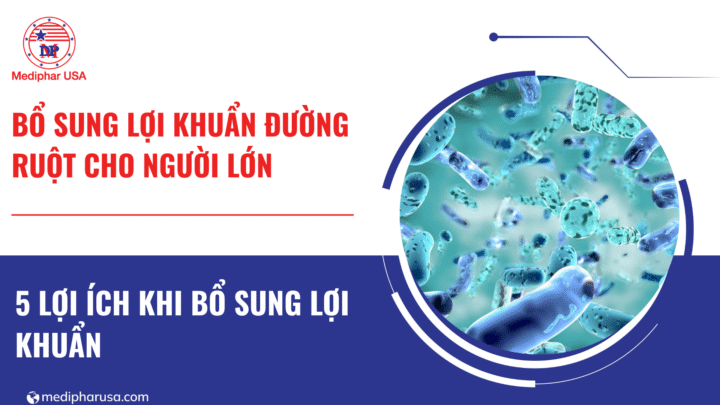 5 lợi ích khi bổ sung lợi khuẩn đường ruột cho người lớn bổ sung lợi khuẩn đường ruột cho người lớn