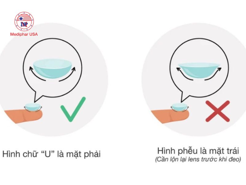 Cách đeo lens đúng cho người mới và lưu ý cần biết Các bước chuẩn bị đeo lens