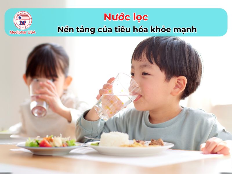 Uống nước gì để tiêu hóa nhanh? 11 loại đồ uống hỗ trợ hệ tiêu hóa hoạt động khỏe mạnh Nước lọc hỗ trợ hệ tiêu hóa khỏe mạnh