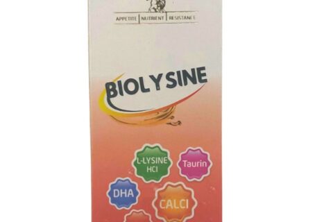 Siro Biolysine: Giúp bé ăn ngon, bổ sung vitamin và khoáng chất thiết yếu