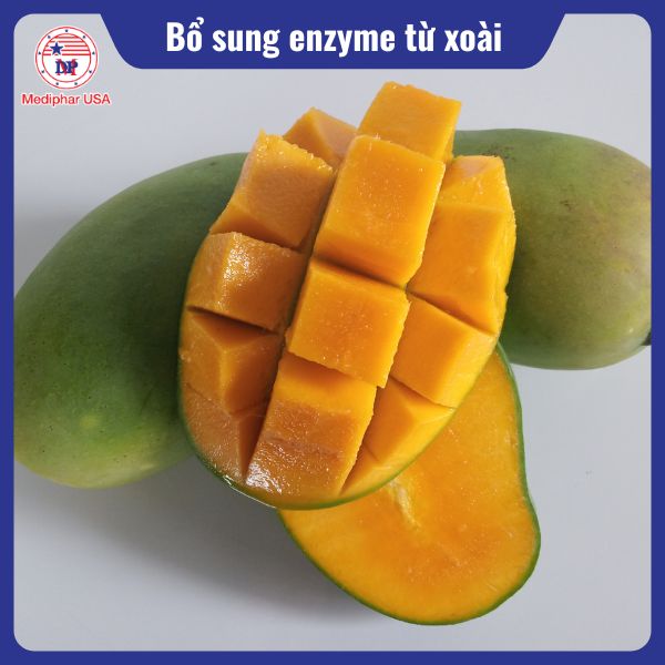 Cách bổ sung enzyme cho cơ thể hiệu quả Cách bổ sung enzyme cho cơ thể từ quả xoài