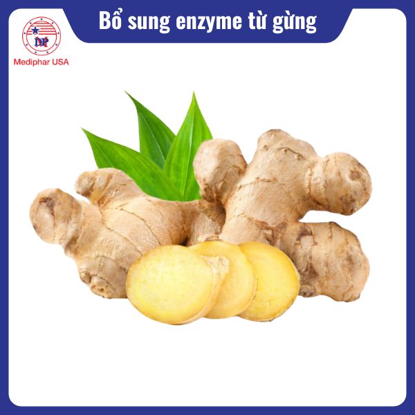 Cách bổ sung enzyme cho cơ thể hiệu quả Gừng chứa enzyme zingibain, hỗ trợ hấp thu protein hiệu quả