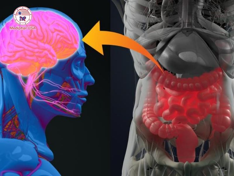 Hệ thống đường ruột chính là bộ não thứ 2