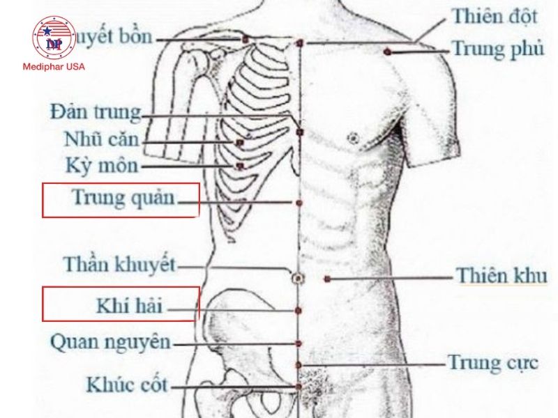 Day ấn huyệt trung quản và khí hải có tác dụng điều hòa khí huyết, kiện tỳ vị, giúp cải thiện chức năng tiêu hóa