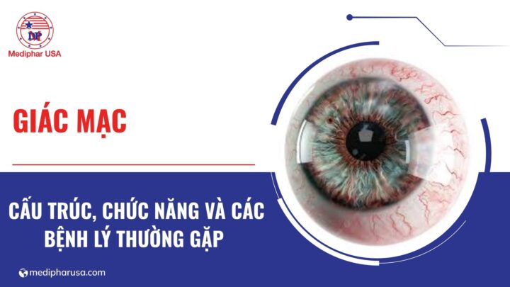 giác mạc