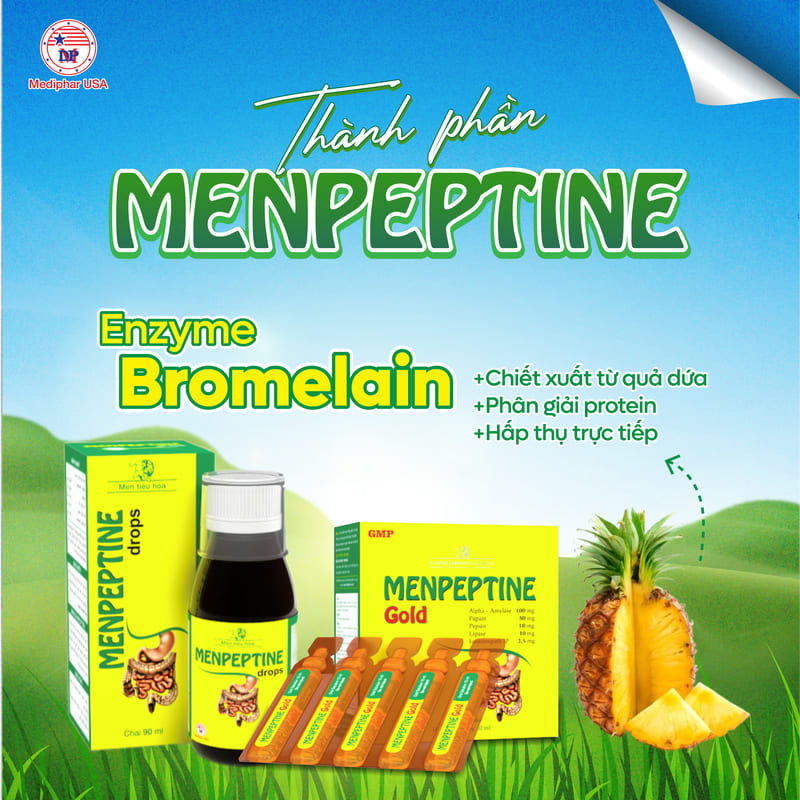 Men tiêu hóa Menpeptine: Review thành phần, công dụng, đối tượng, giá bán Men tiêu hóa Menpeptine chứa Enzyme Bromelain