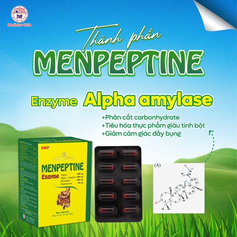 Men tiêu hóa Menpeptine: Review thành phần, công dụng, đối tượng, giá bán Men tiêu hóa Menpeptine chứa Enzyme Alpha-amylase