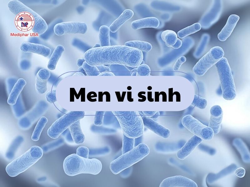 Men vi sinh và men tiêu hóa: Cách phân biệt và đối tượng sử dụng Men vi sinh là các vi sinh vật sống