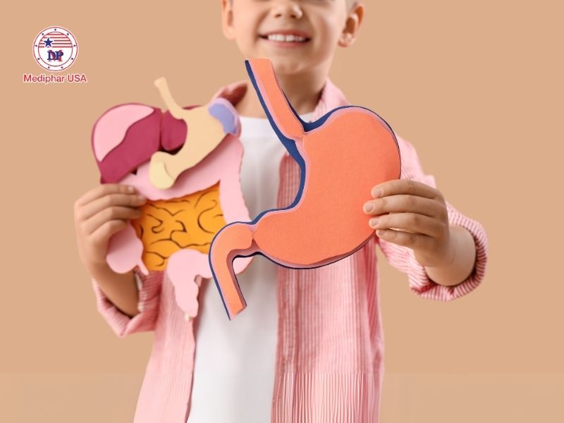 Men vi sinh và men tiêu hóa: Cách phân biệt và đối tượng sử dụng Men tiêu hoá và men vi sinh đều đều giúp cải thiện triệu chứng rối loạn tiêu hoá