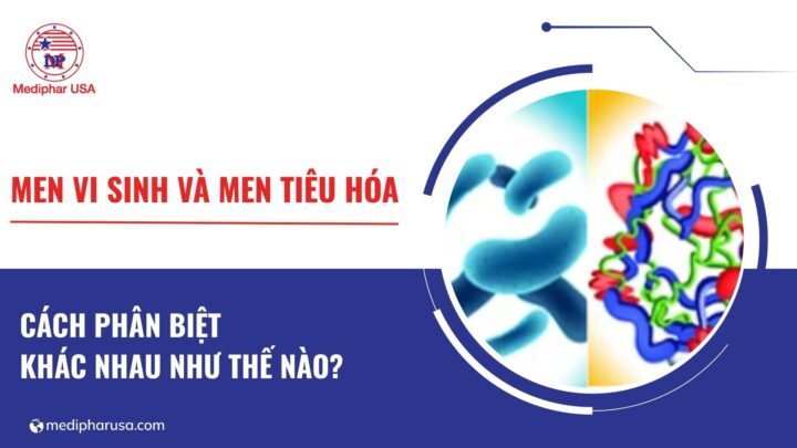 Men vi sinh và men tiêu hóa: Cách phân biệt và đối tượng sử dụng Men vi sinh và men tiêu hóa: Cách phân biệt và đối tượng sử dụng