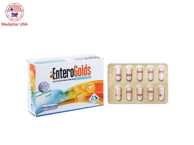 Enterogolds có tốt không? Công dụng, cách dùng và lưu ý Men vi sinh Enterogolds