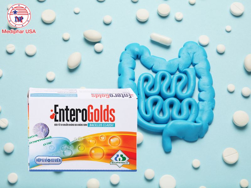 Enterogolds có tốt không? Công dụng, cách dùng và lưu ý Enterogolds 500mg điều trị và phòng ngừa rối loạn vi sinh đường ruột