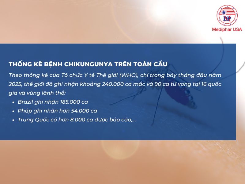 Bệnh chikungunya là gì? Nguyên nhân, triệu chứng, cách phòng ngừa Tình hình dịch bệnh Chikungunya trên toàn cầu