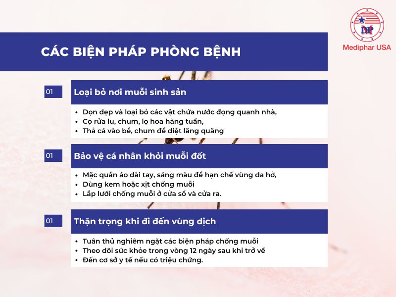Bệnh chikungunya là gì? Nguyên nhân, triệu chứng, cách phòng ngừa Phòng ngừa bệnh Chikungunya