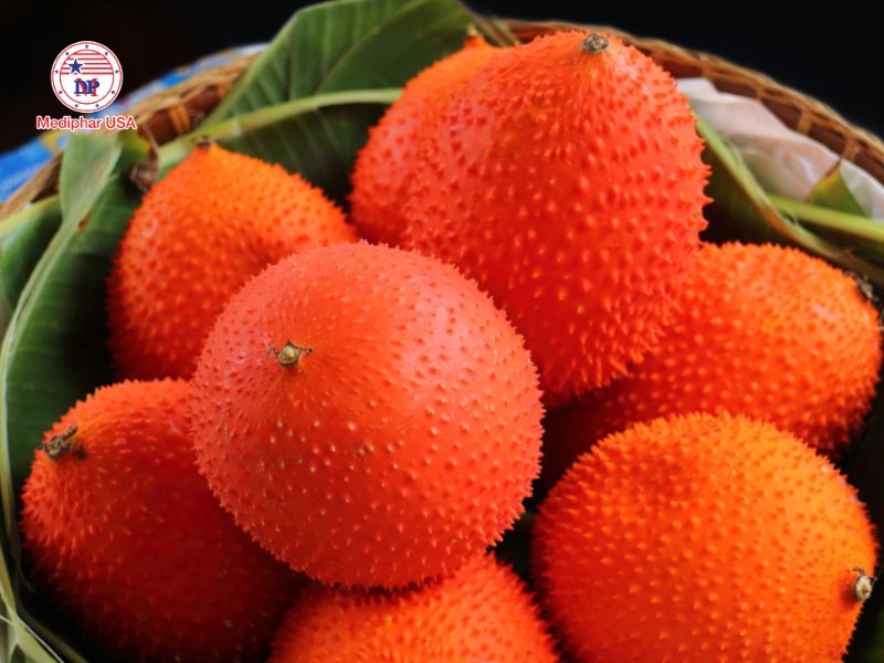 Hướng dẫn cách làm dầu gấc ép lạnh tại nhà Chọn những trái gấc chín đỏ để chế biến dầu