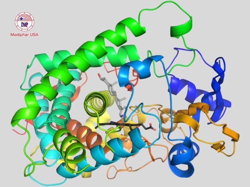 Công nghệ enzyme là gì? Ứng dụng và tiềm năng phát triển trong y dược Enzyme là các phân tử protein (một số là RNA) có vai trò xúc tác sinh học