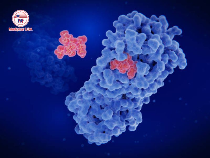 Công nghệ enzyme là gì? Ứng dụng và tiềm năng phát triển trong y dược Enzyme đóng vai trò quan trọng trong nghiên cứu y học và sản xuất dược phẩm
