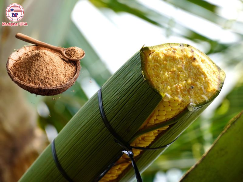 Đường dừa: Thành phần, chỉ số đường huyết và lưu ý khi sử dụng Đường dừa được chiết xuất từ nhựa hoa cây dừa