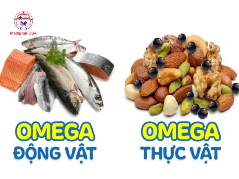 Những ai không nên uống Omega 3-6-9? 5 đối tượng cần đặc biệt lưu ý Có thể lựa chọn omega từ động vật hoặc thực vật