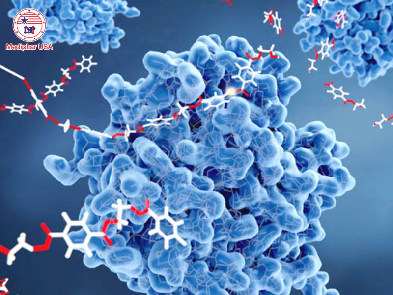 Rối loạn chuyển hóa enzyme: Nguyên nhân, dấu hiệu và phương pháp điều trị Rối loạn chuyển hóa enzyme là tình trạng cơ thể bị thiếu hay rối loạn chức năng của các enzyme chuyển hóa, làm gián đoạn quá trình phân giải và chuyển hóa các chất.