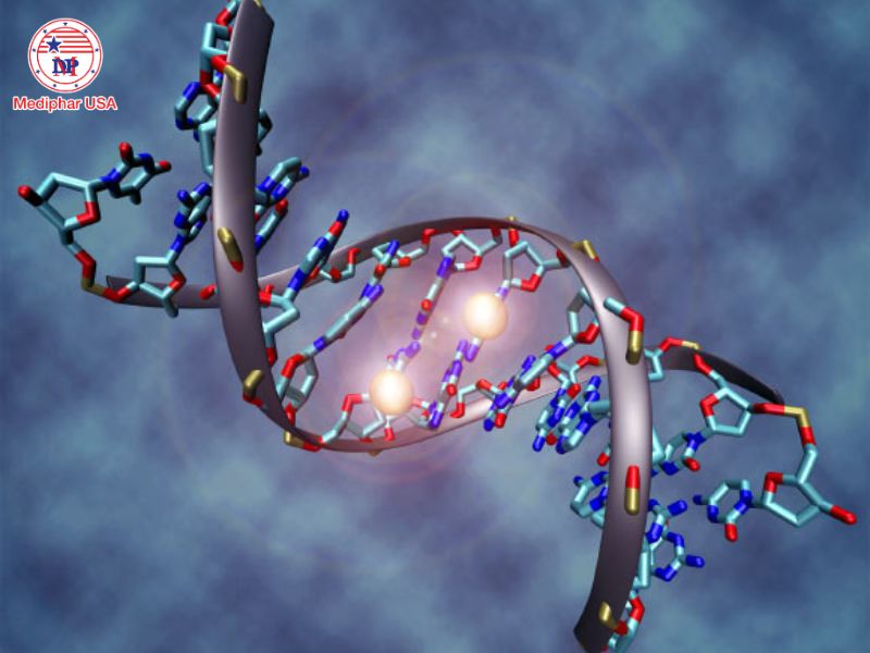 Rối loạn chuyển hóa enzyme: Nguyên nhân, dấu hiệu và phương pháp điều trị Hầu hết các rối loạn chuyển hóa enzym có nguồn gốc di truyền, do đột biến gen ảnh hưởng đến quá trình tổng hợp hay hoạt động của enzyme.