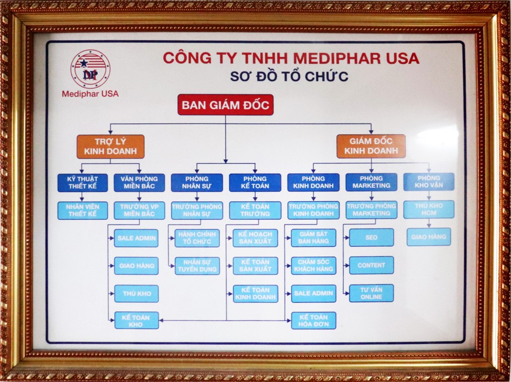 Sơ đồ tổ chức khối văn phòng Công ty TNHH MEDIPHAR USA Sơ đồ tổ chức Công ty TNHH MEDIPHAR USA