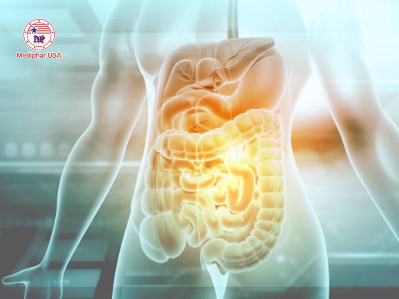 Tăng nhu động ruột là gì? Dấu hiệu nhận biết và cách xử lý đơn giản, hiệu quả Nhu động ruột là quá trình co bóp của các cơ trơn trong hệ tiêu hóa