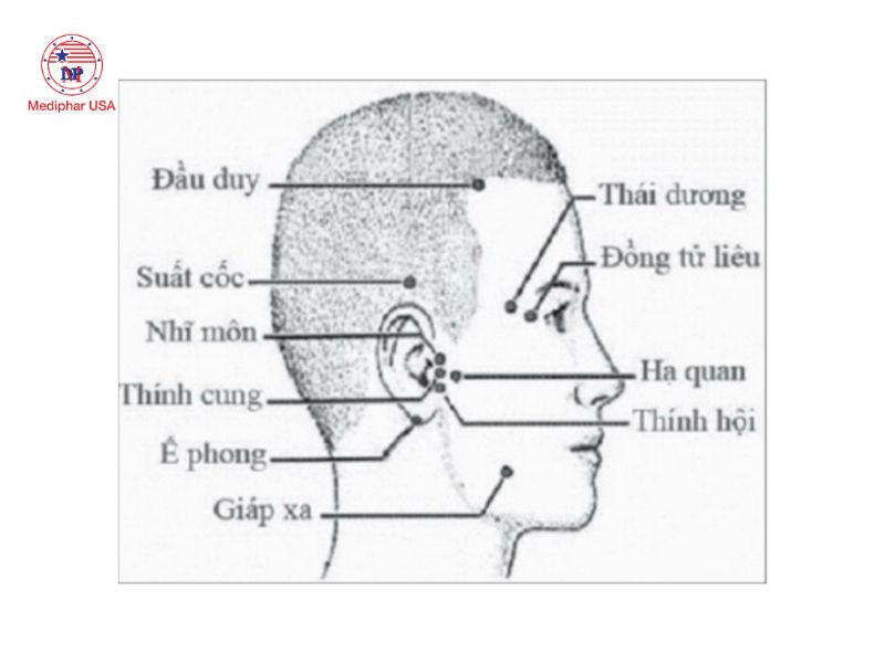 7 huyệt bấm giúp giảm khô mắt, mỏi mắt và làm sáng mắt Huyệt Đồng Tử Liêu nằm ở phía ngoài góc mắt