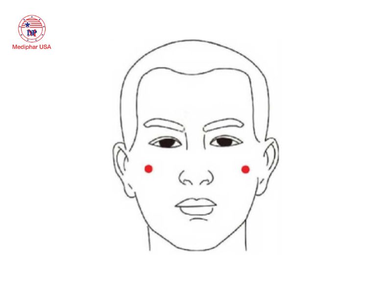 7 huyệt bấm giúp giảm khô mắt, mỏi mắt và làm sáng mắt Huyệt Tứ Bạch nằm ở ngay dưới mi mắt