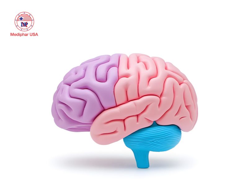 Cách sử dụng thuốc bổ não Ginkgo Biloba: Liều lượng, thời điểm và lưu ý quan trọng Ginkgo Biloba có tác dụng cải thiện tuần hoàn máu não