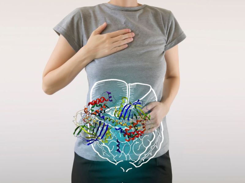 Enzyme protease là gì? Lợi ích đối với cơ thể và ứng dụng trong cuộc sống Enzyme protease cơ thể người, động vật, thực vật và vi sinh vật