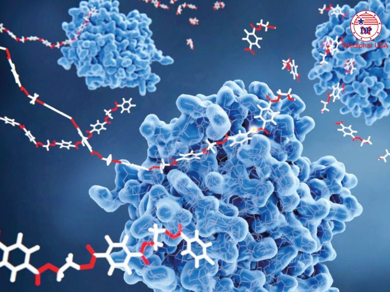 Enzyme protease là gì? Lợi ích đối với cơ thể và ứng dụng trong cuộc sống Enzyme protease được phân loại theo nhiều tiêu chí khác nhau