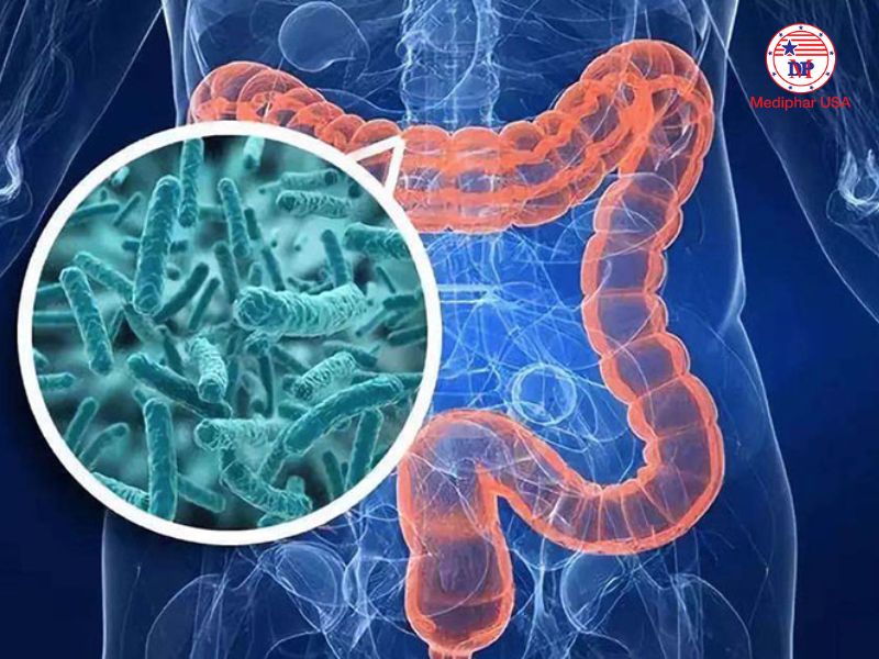 Enzyme protease là gì? Lợi ích đối với cơ thể và ứng dụng trong cuộc sống Protease giúp hỗ trợ tiêu hóa, phân giải protein từ thịt, cá, trứng và sữa