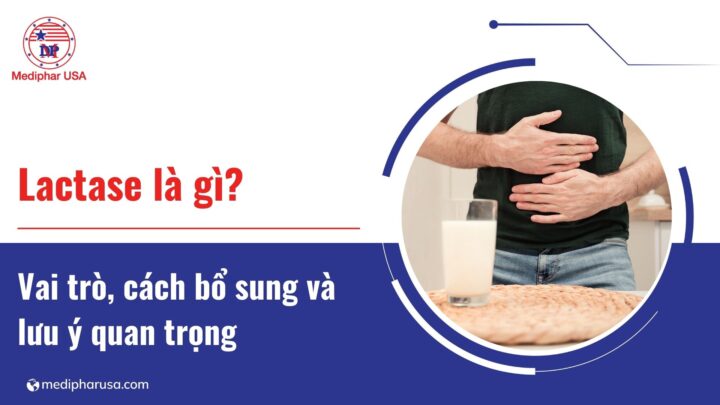 Enzyme lactase là gì? Vai trò, cách bổ sung và lưu ý quan trọng Enzyme lactase là gì? Vai trò, cách bổ sung và lưu ý quan trọng