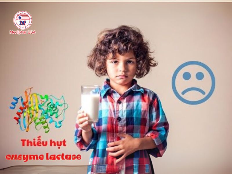 Enzyme lactase là gì? Vai trò, cách bổ sung và lưu ý quan trọng Enzyme lactase sử dụng cho người thiếu hụt enzyme này