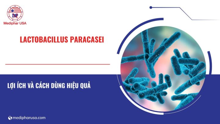 Lactobacillus paracasei là gì? Tác dụng đối với sức khỏe và cách bổ sung hiệu quả