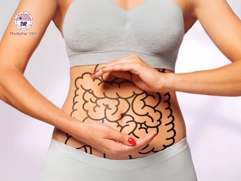 Men tiêu hóa có chức năng phân giải thức ăn