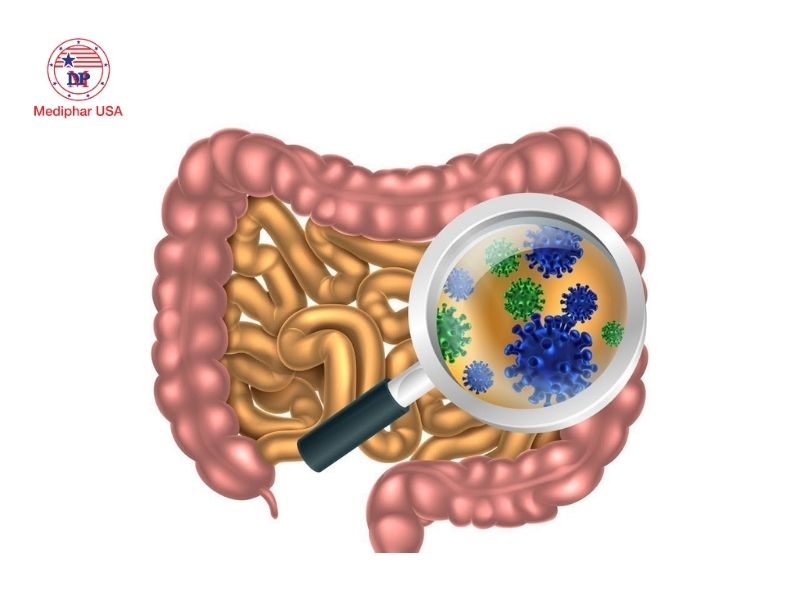 Men tiêu hóa hạn chế nguy cơ mắc các bệnh viêm ruột