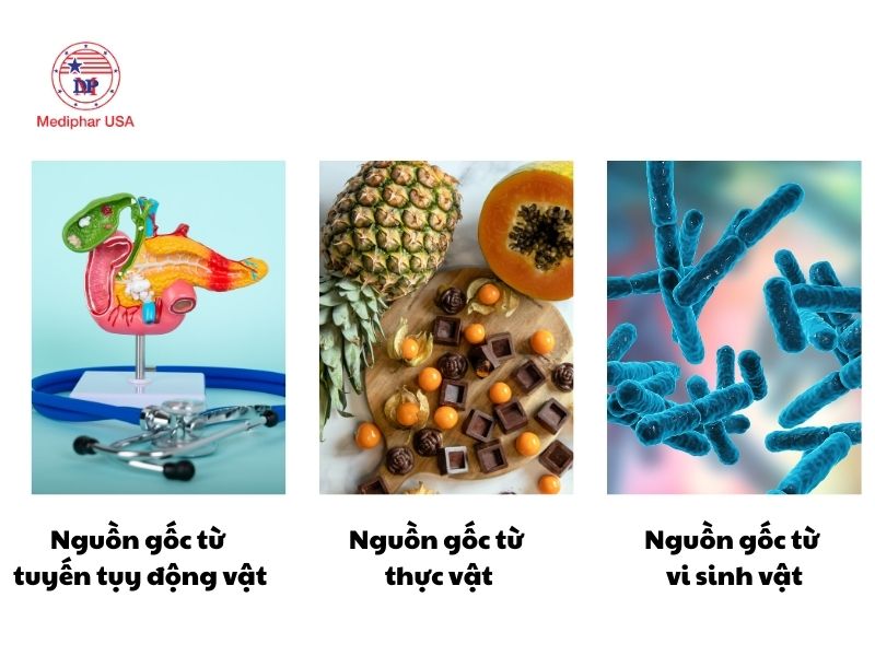 Phân loại men tiêu hóa theo nguồn gốc